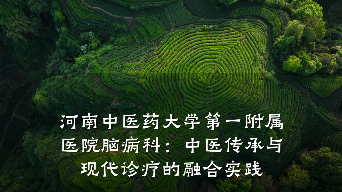 河南中医药大学第一附属医院脑病科：中医传承与现代诊疗的融合实践