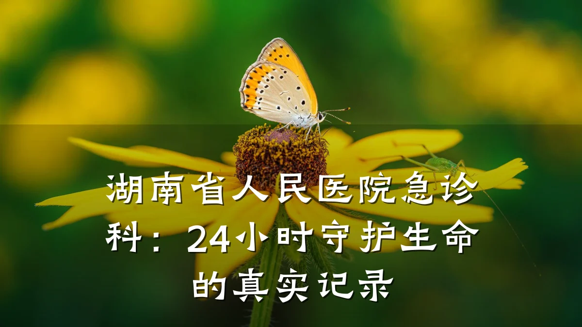 湖南省人民医院急诊科:24小时守护生命的真实记录