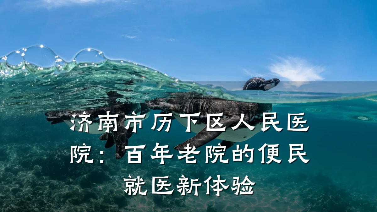 济南市历下区人民医院:百年老院的便民就医新体验