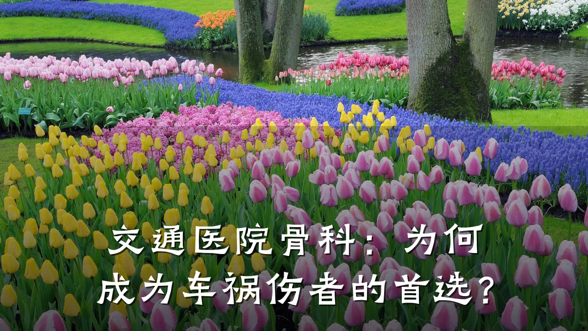 交通医院骨科：为何成为车祸伤者的首选？