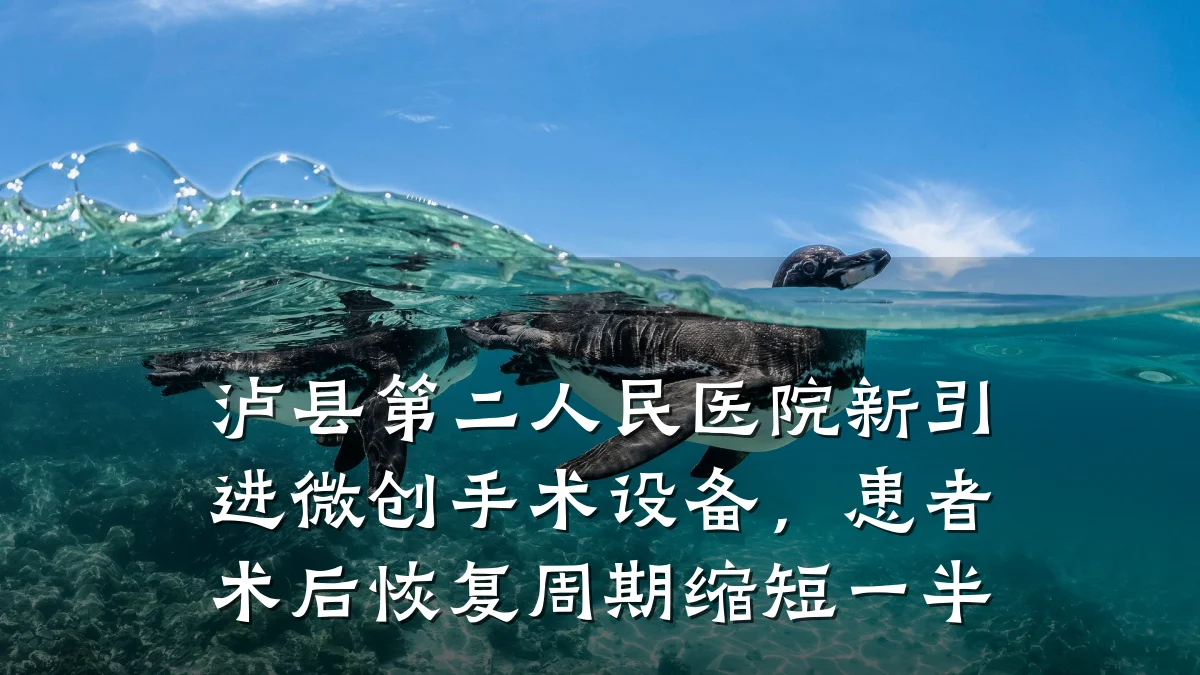 泸县第二人民医院新引进微创手术设备，患者术后恢复周期缩短一半