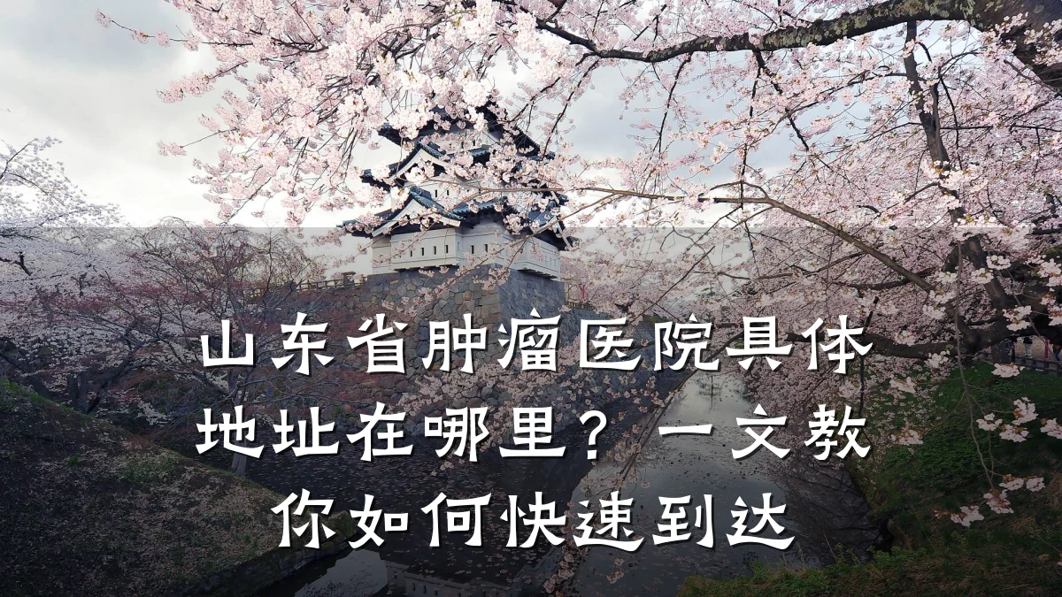 山东省肿瘤医院具体地址在哪里?一文教你如何快速到达