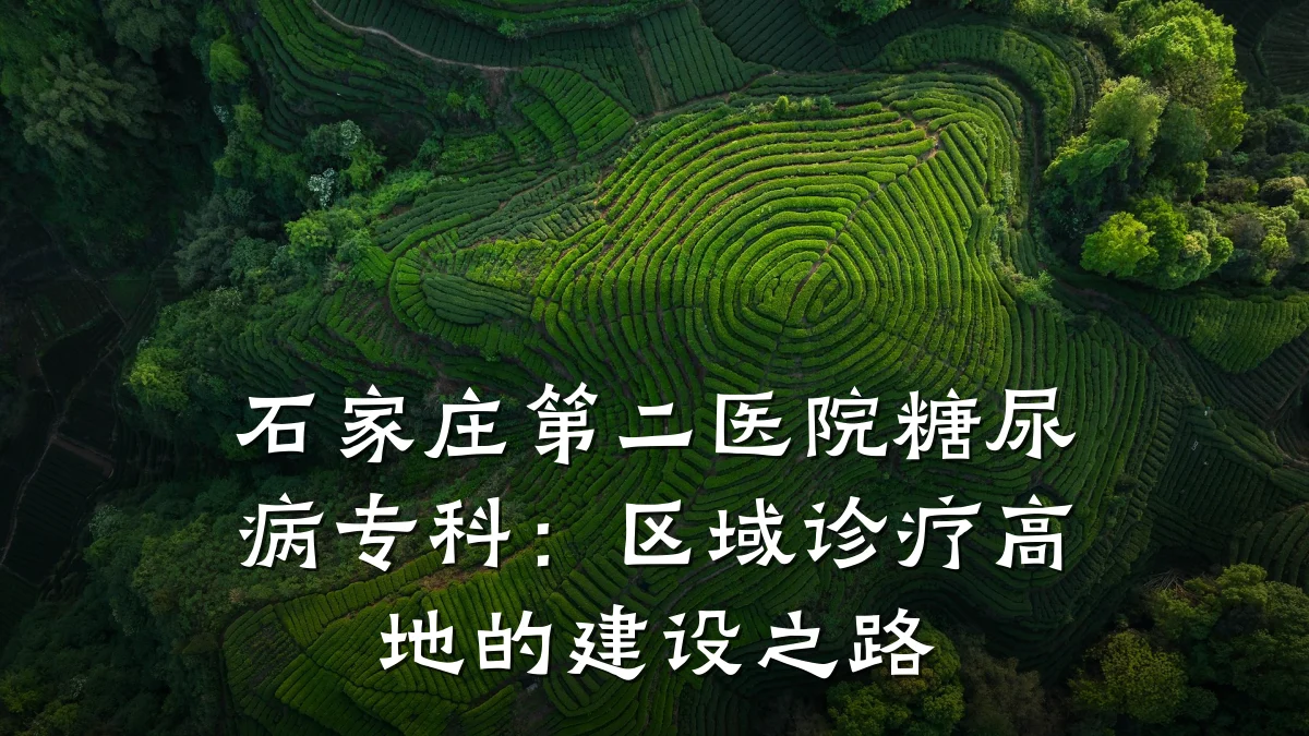石家庄第二医院糖尿病专科：区域诊疗高地的建设之路