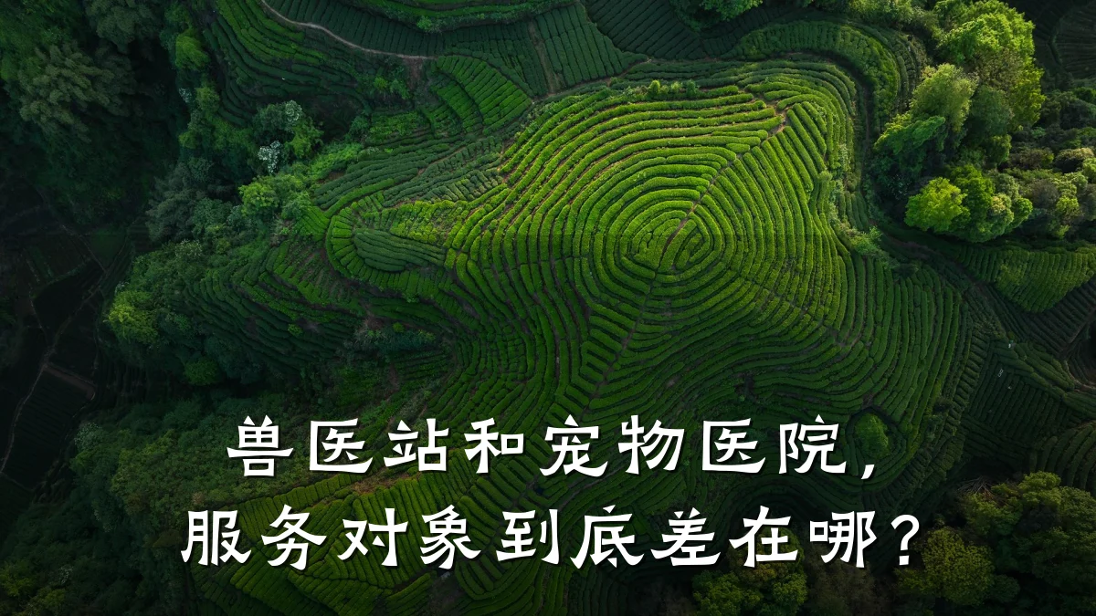兽医站和宠物医院,服务对象到底差在哪?