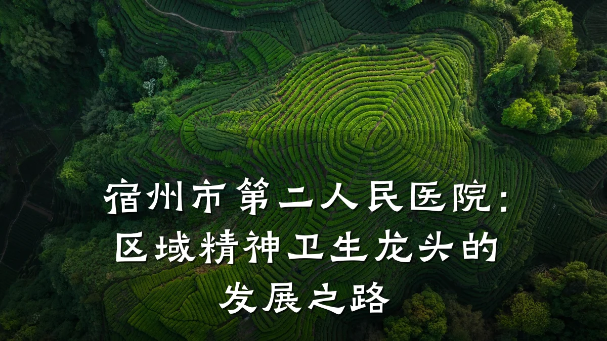 宿州市第二人民医院：区域精神卫生龙头的发展之路
