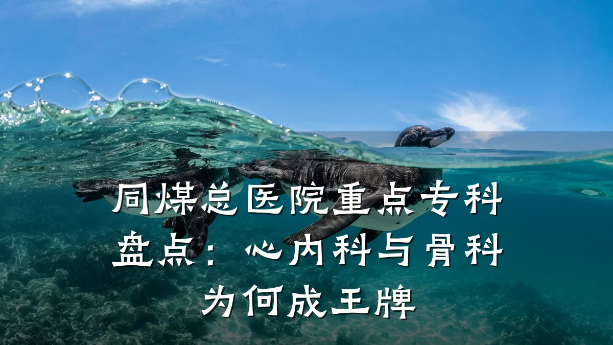 同煤总医院重点专科盘点:心内科与骨科为何成王牌