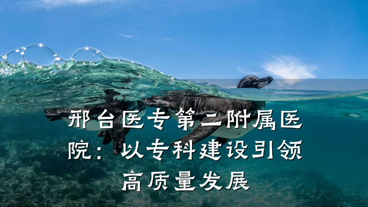 邢台医专第二附属医院:以专科建设引领高质量发展