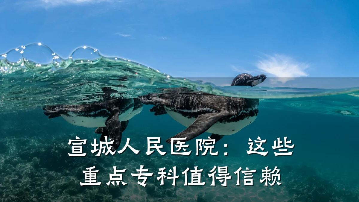 宣城人民医院：这些重点专科值得信赖