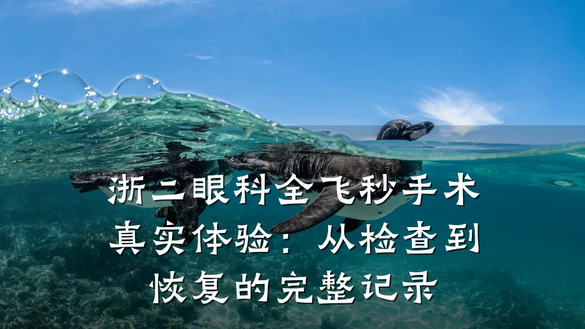 浙二眼科全飞秒手术真实体验:从检查到恢复的完整记录