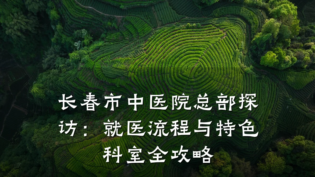 长春市中医院总部探访:就医流程与特色科室全攻略
