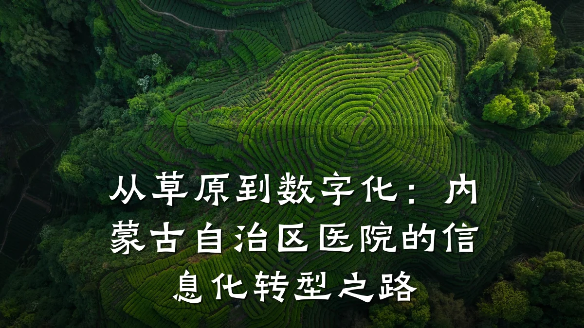 从草原到数字化：内蒙古自治区医院的信息化转型之路