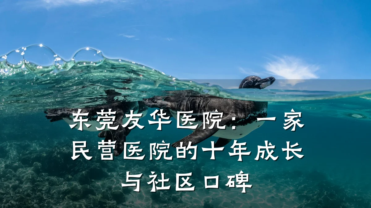 东莞友华医院：一家民营医院的十年成长与社区口碑