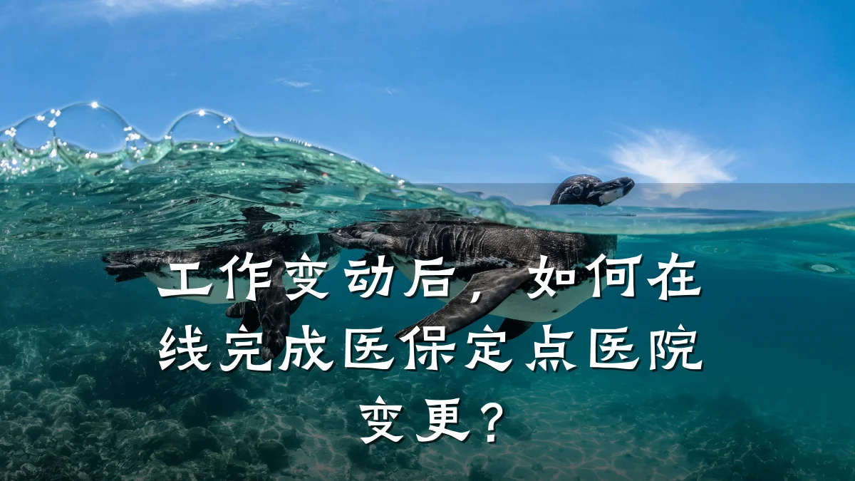工作变动后，如何在线完成医保定点医院变更？