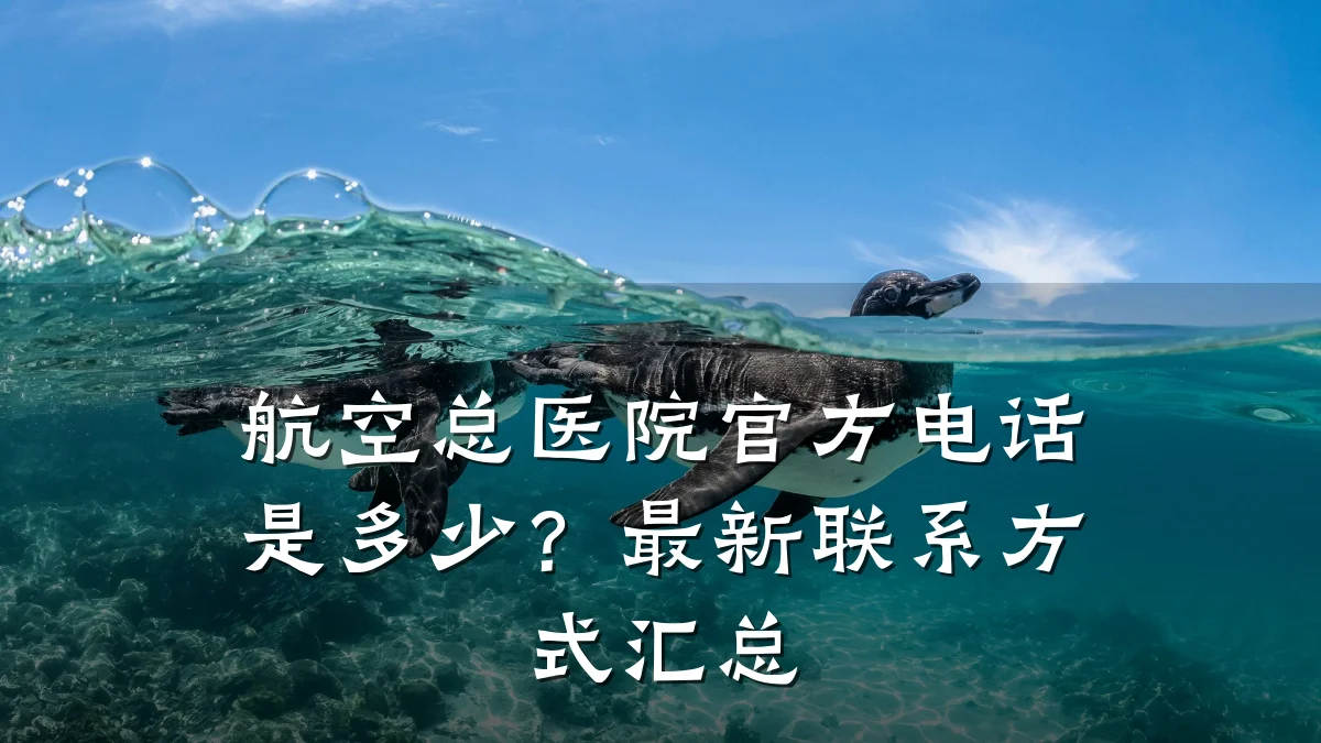 航空总医院官方电话是多少?最新联系方式汇总