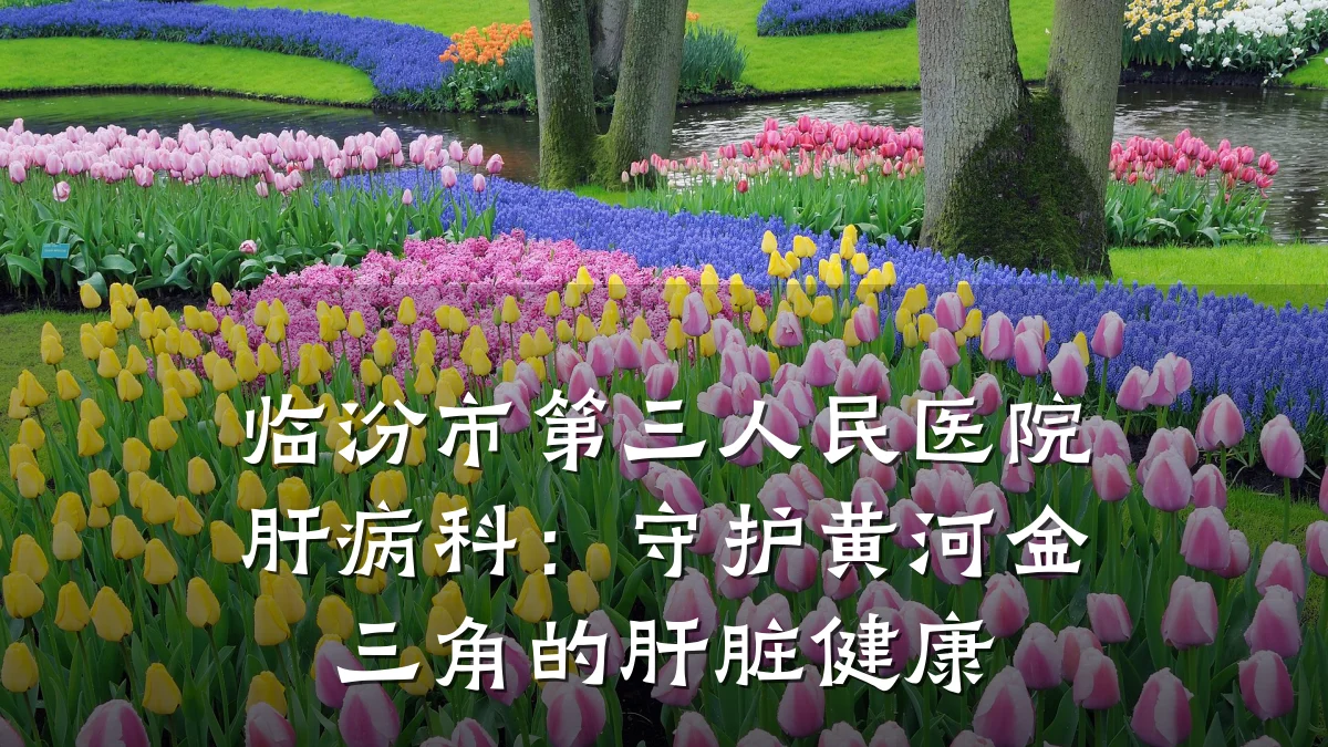 临汾市第三人民医院肝病科:守护黄河金三角的肝脏健康