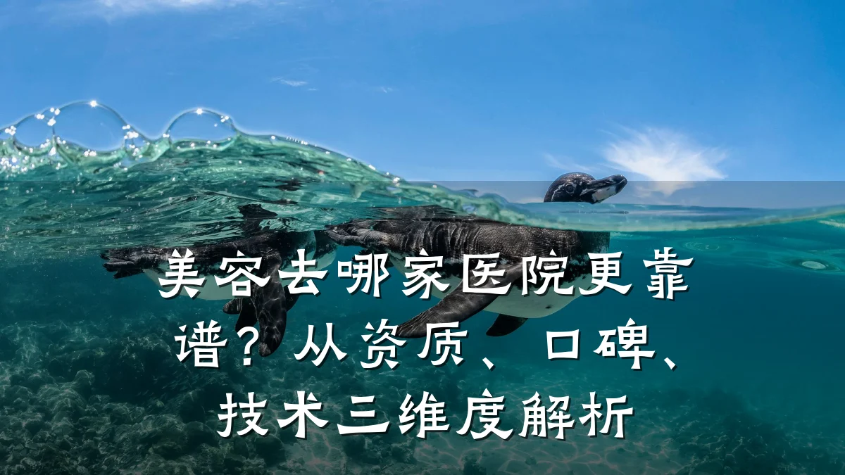 美容去哪家医院更靠谱?从资质、口碑、技术三维度解析