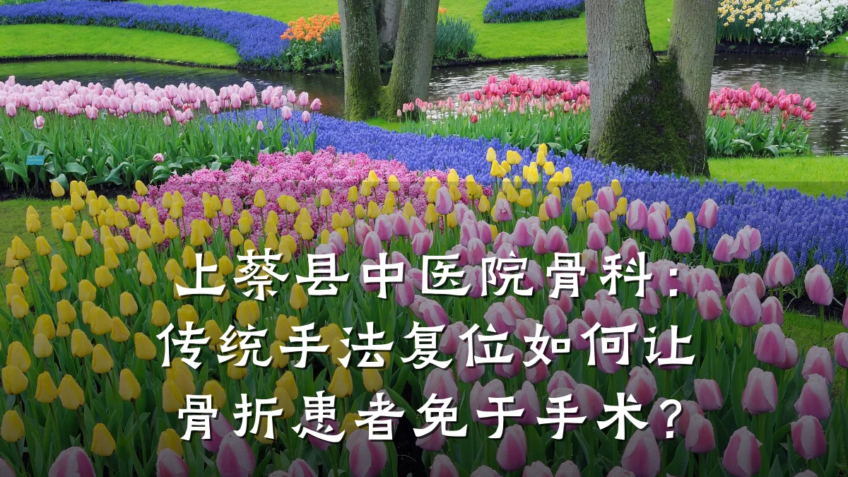 上蔡县中医院骨科：传统手法复位如何让骨折患者免于手术？
