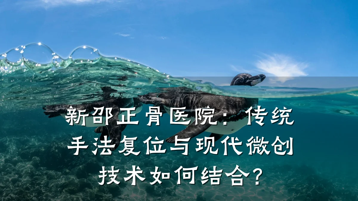 新邵正骨医院:传统手法复位与现代微创技术如何结合?
