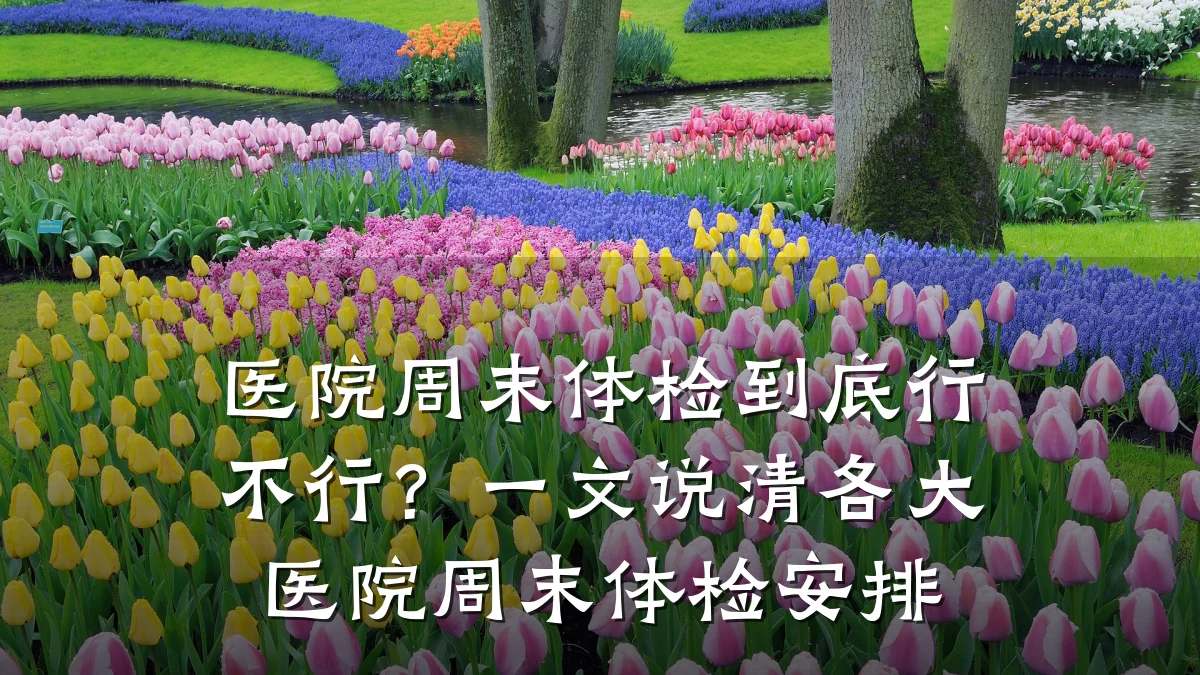 医院周末体检到底行不行？一文说清各大医院周末体检安排