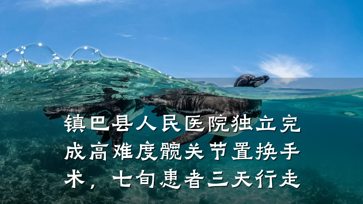 镇巴县人民医院独立完成高难度髋关节置换手术,七旬患者三天行走