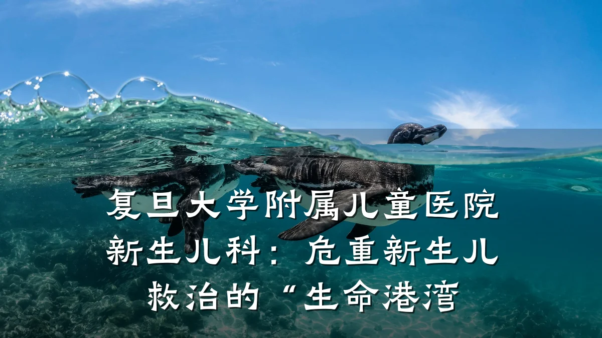 复旦大学附属儿童医院新生儿科:危重新生儿救治的“生命港湾