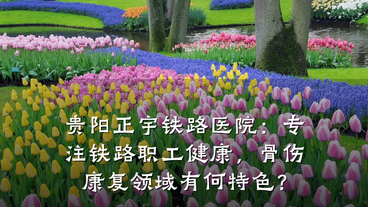 贵阳正宇铁路医院：专注铁路职工健康，骨伤康复领域有何特色？