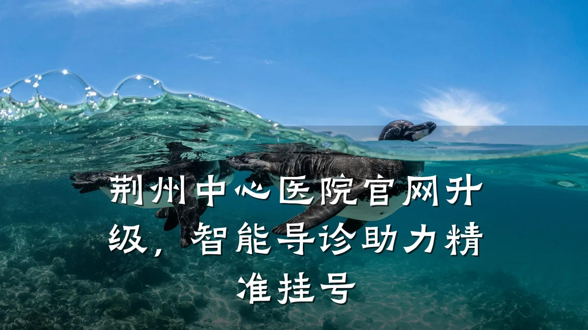 荆州中心医院官网升级，智能导诊助力精准挂号