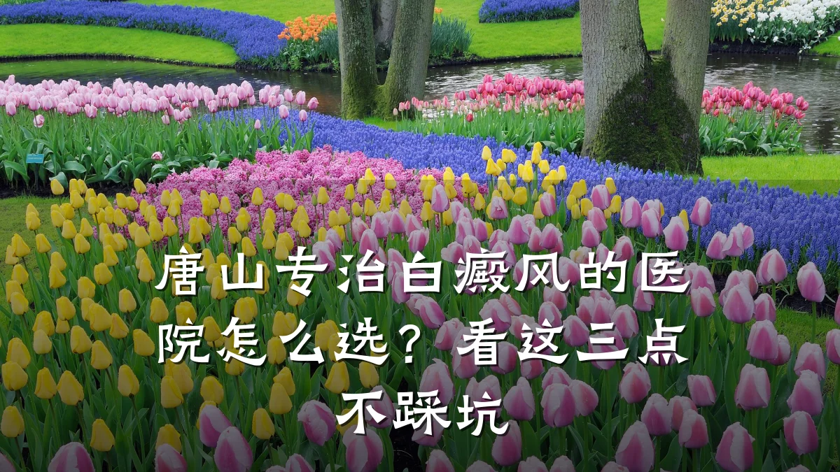 唐山专治白癜风的医院怎么选?看这三点不踩坑
