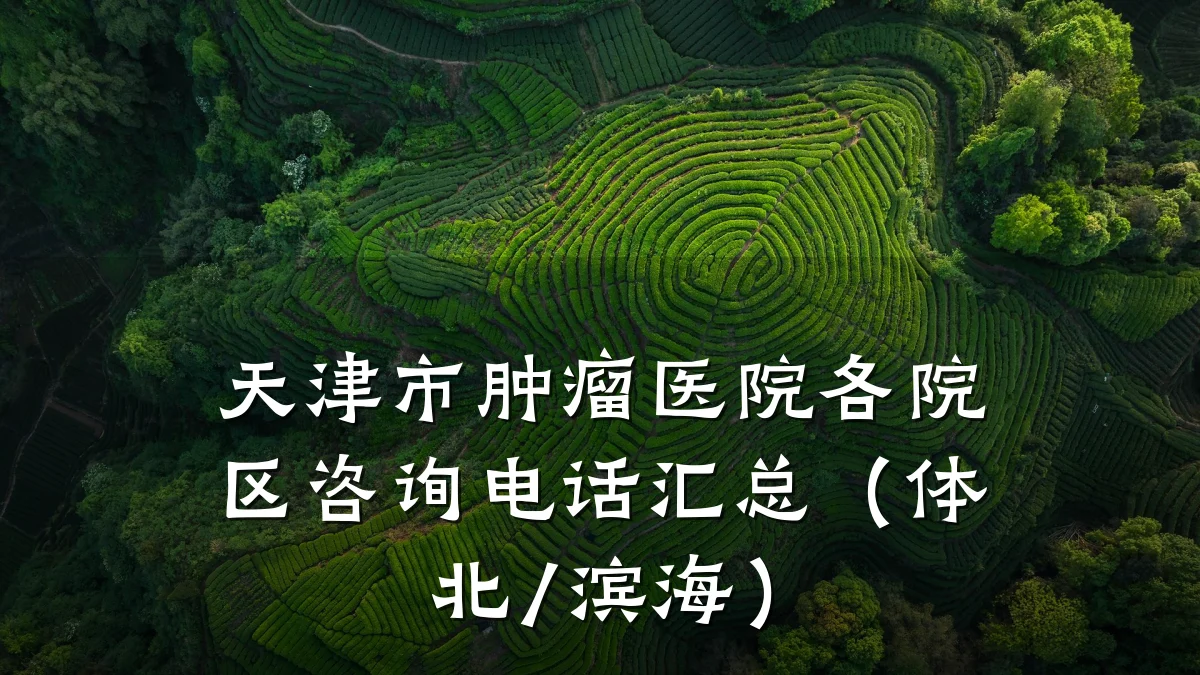 天津市肿瘤医院各院区咨询电话汇总(体北/滨海)