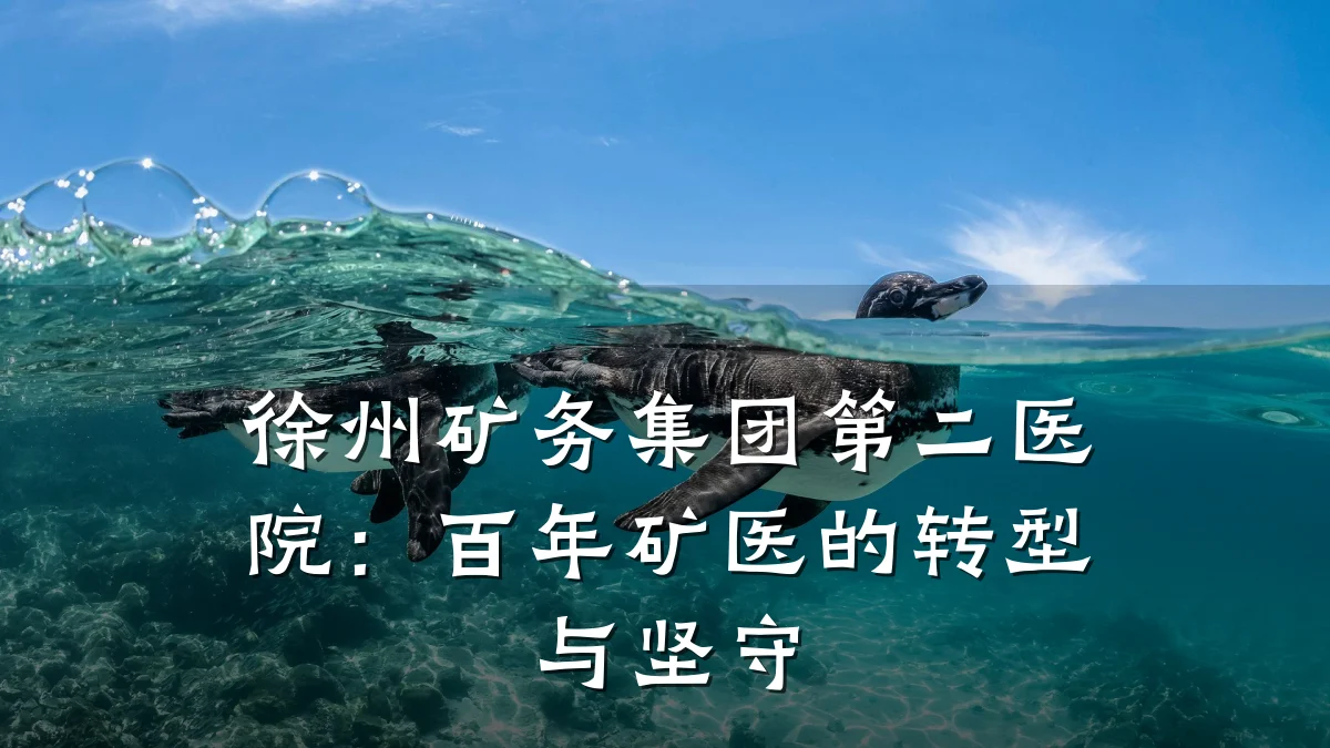 徐州矿务集团第二医院:百年矿医的转型与坚守