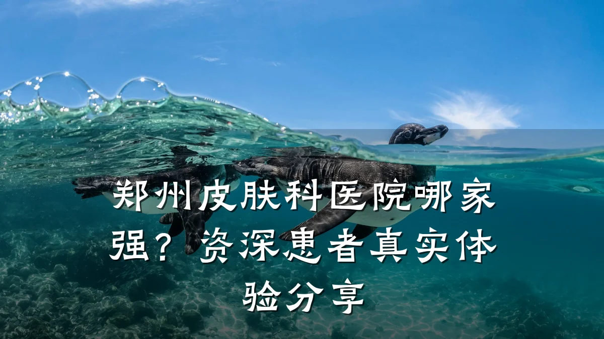 郑州皮肤科医院哪家强？资深患者真实体验分享