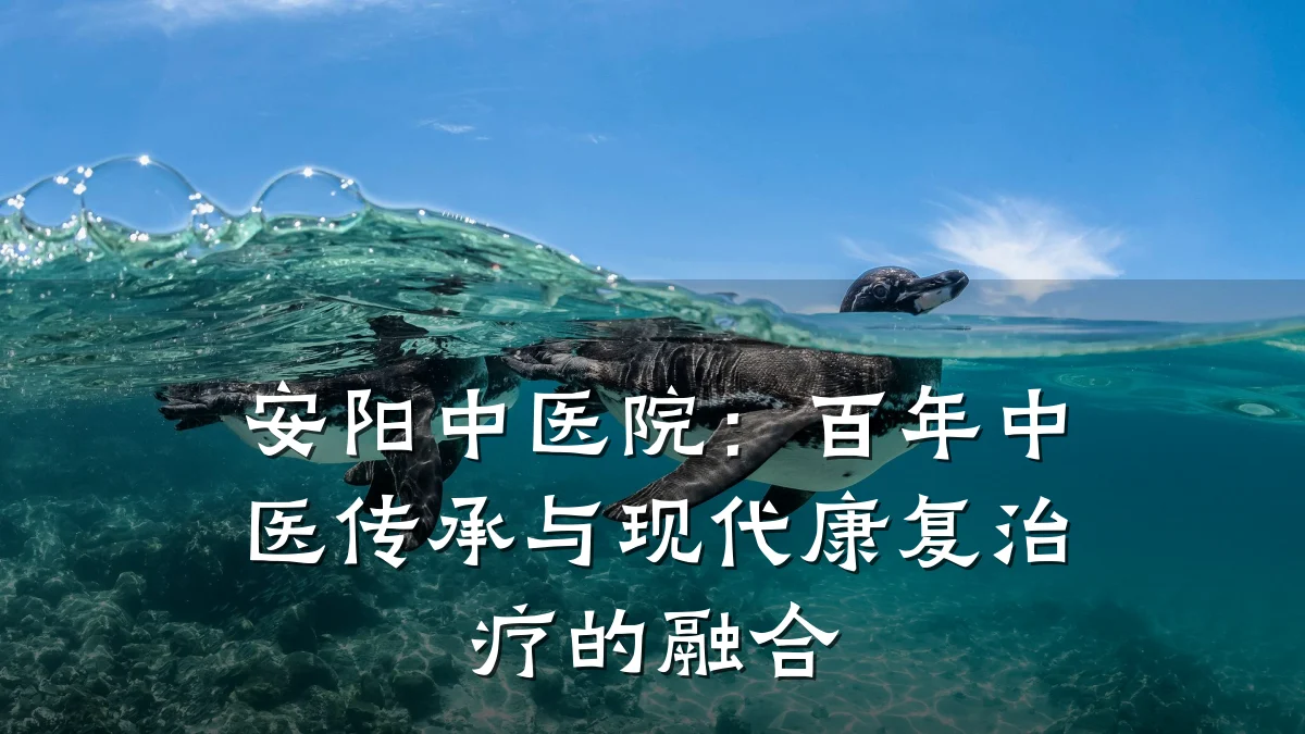 安阳中医院：百年中医传承与现代康复治疗的融合