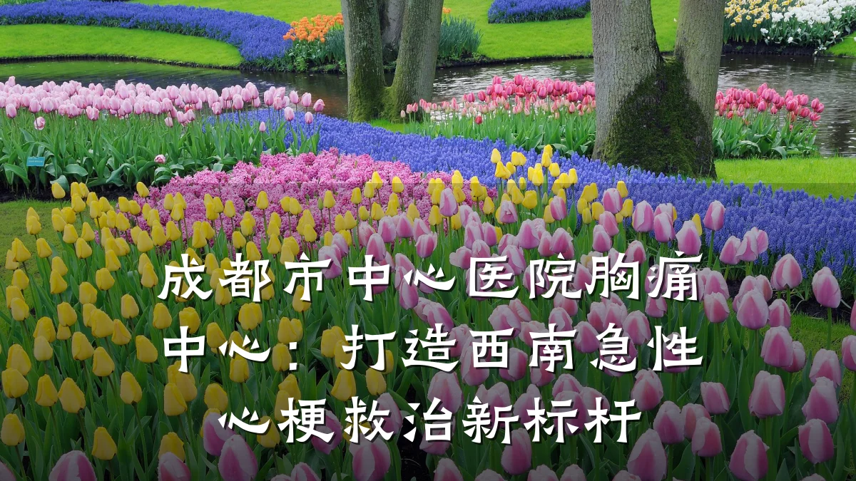 成都市中心医院胸痛中心:打造西南急性心梗救治新标杆