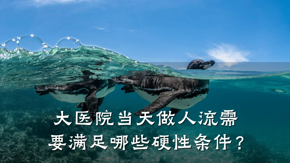 大医院当天做人流需要满足哪些硬性条件？