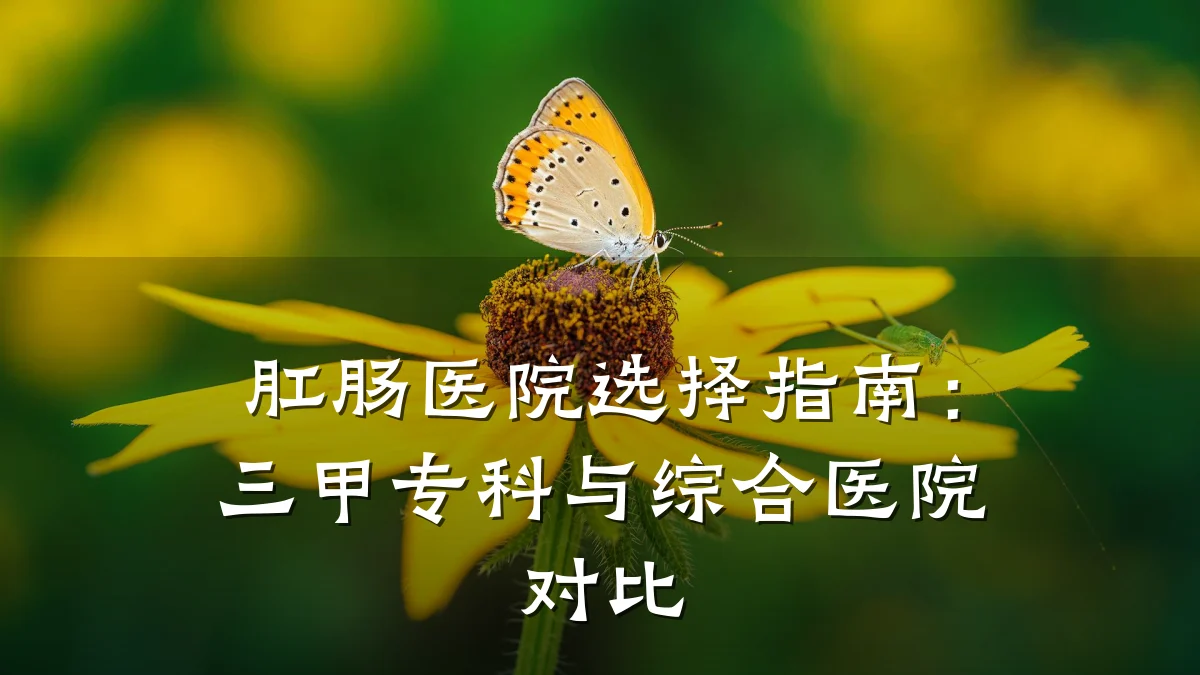 肛肠医院选择指南:三甲专科与综合医院对比