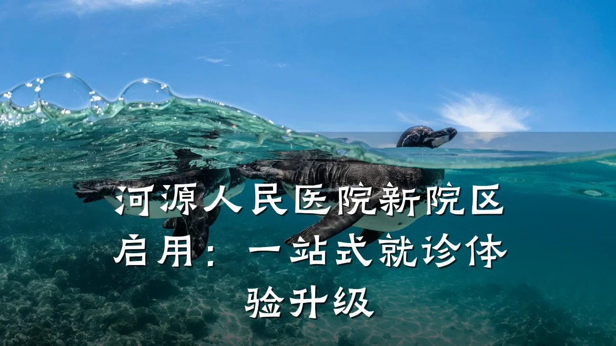 河源人民医院新院区启用:一站式就诊体验升级