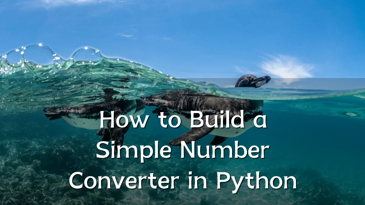 How to Build a Simple Number Converter in Python