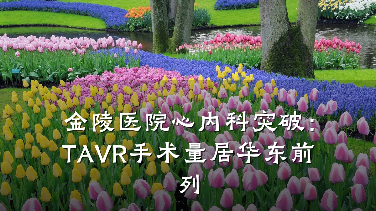 金陵医院心内科突破：TAVR手术量居华东前列