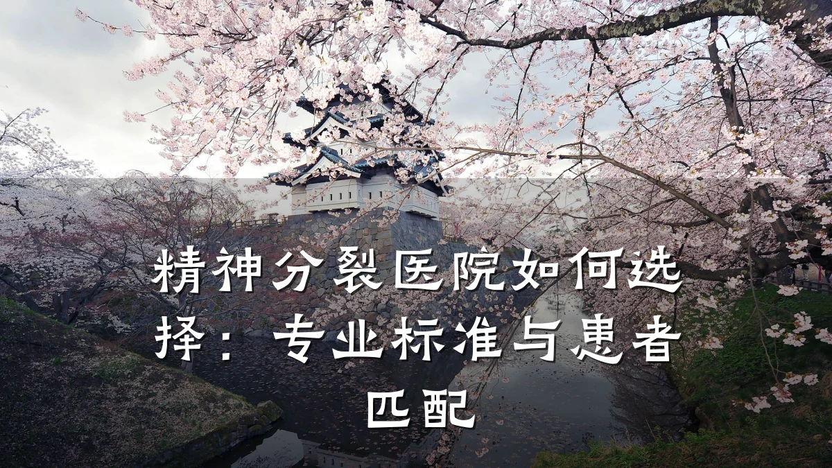 精神分裂医院如何选择：专业标准与患者匹配