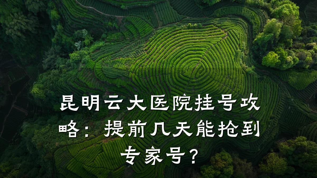 昆明云大医院挂号攻略：提前几天能抢到专家号？