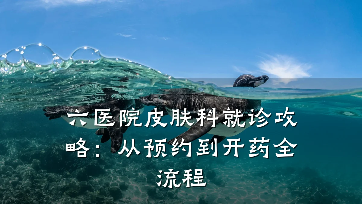 六医院皮肤科就诊攻略：从预约到开药全流程