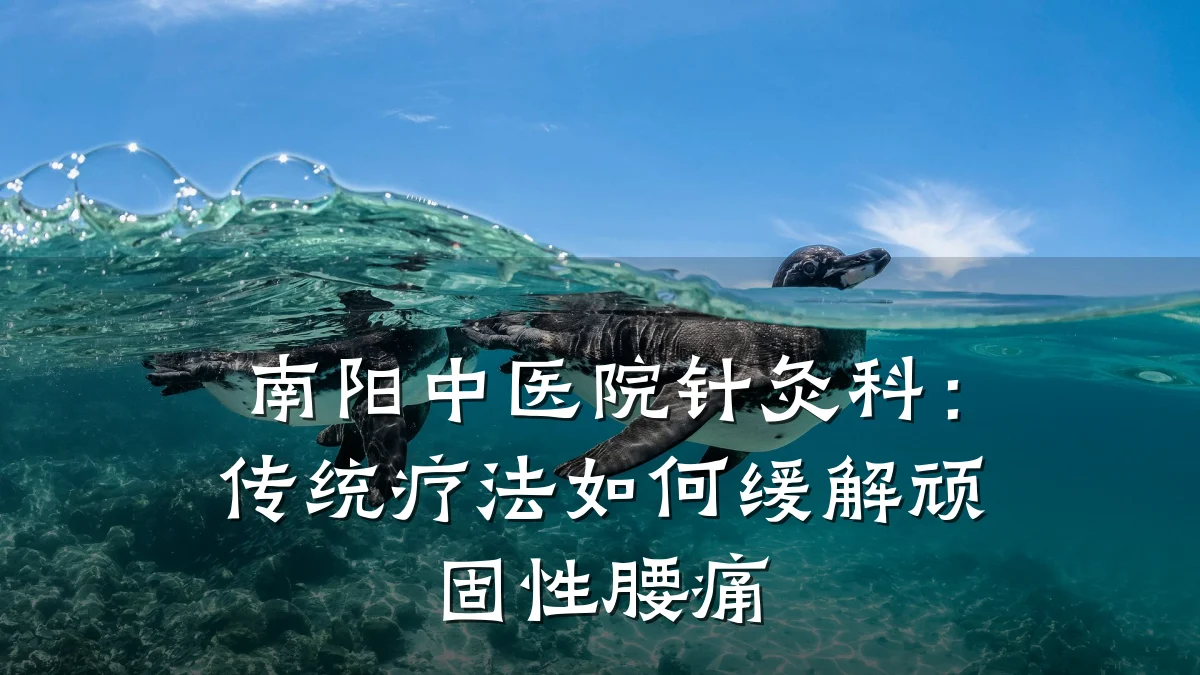 南阳中医院针灸科：传统疗法如何缓解顽固性腰痛