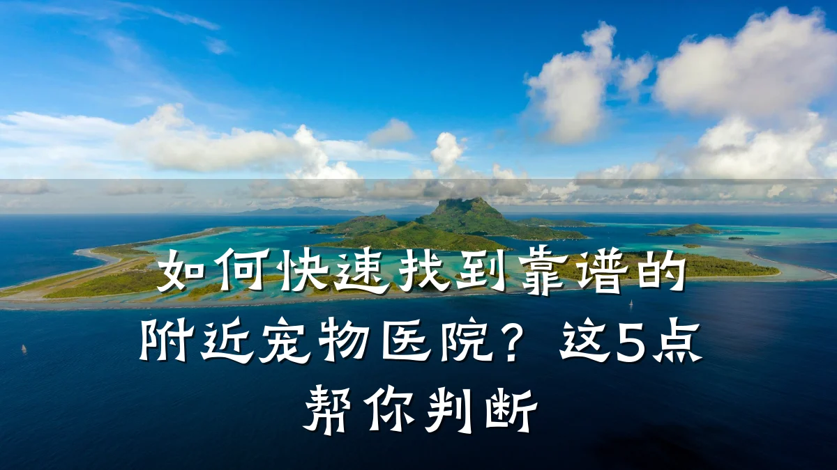 如何快速找到靠谱的附近宠物医院？这5点帮你判断