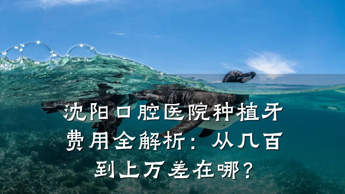 沈阳口腔医院种植牙费用全解析：从几百到上万差在哪？