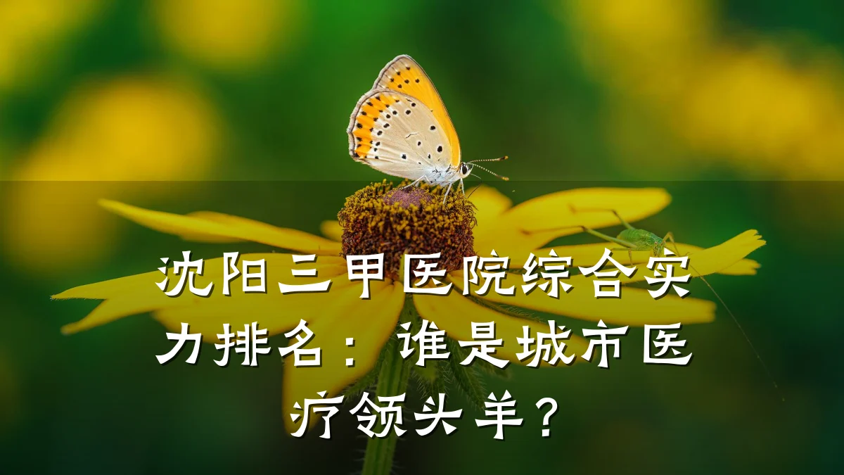 沈阳三甲医院综合实力排名：谁是城市医疗领头羊？