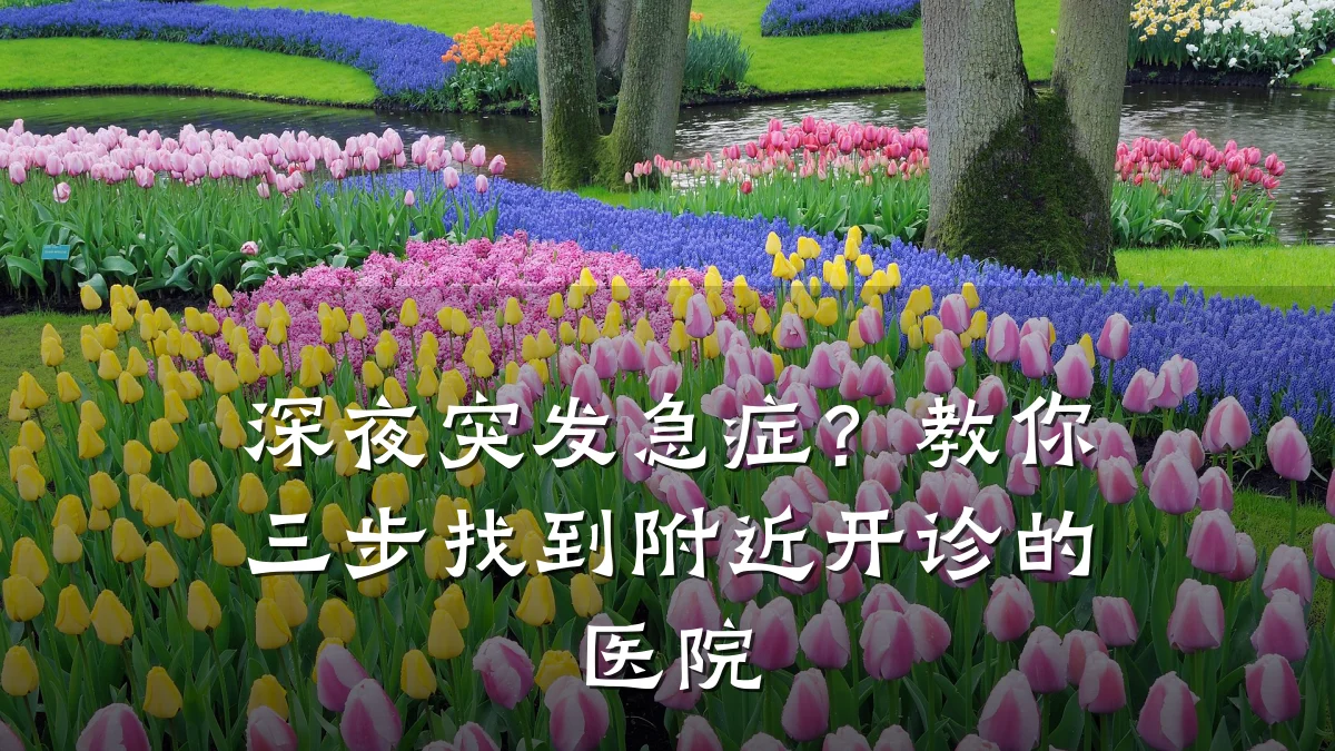 深夜突发急症？教你三步找到附近开诊的医院