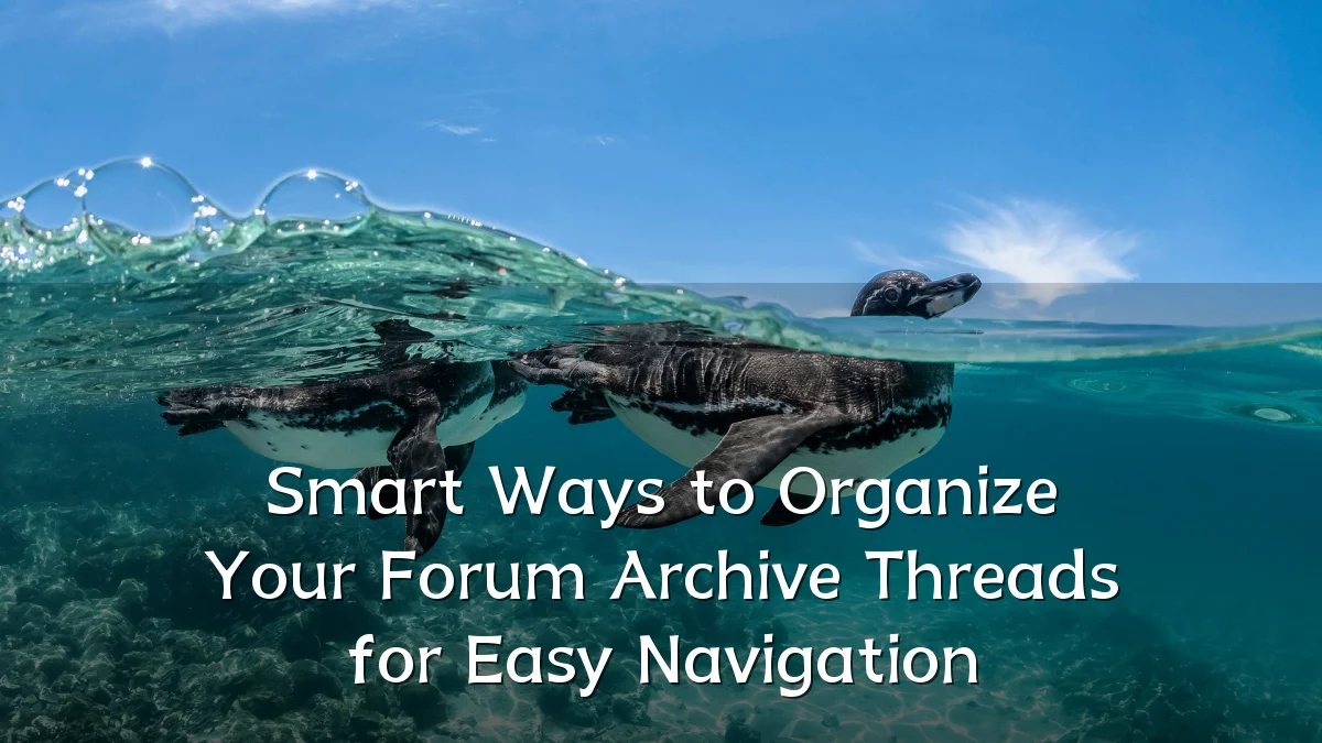 Smart Ways to Organize Your Forum Archive Threads for Easy Navigation