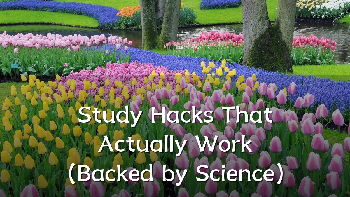 Study Hacks That Actually Work (Backed by Science)