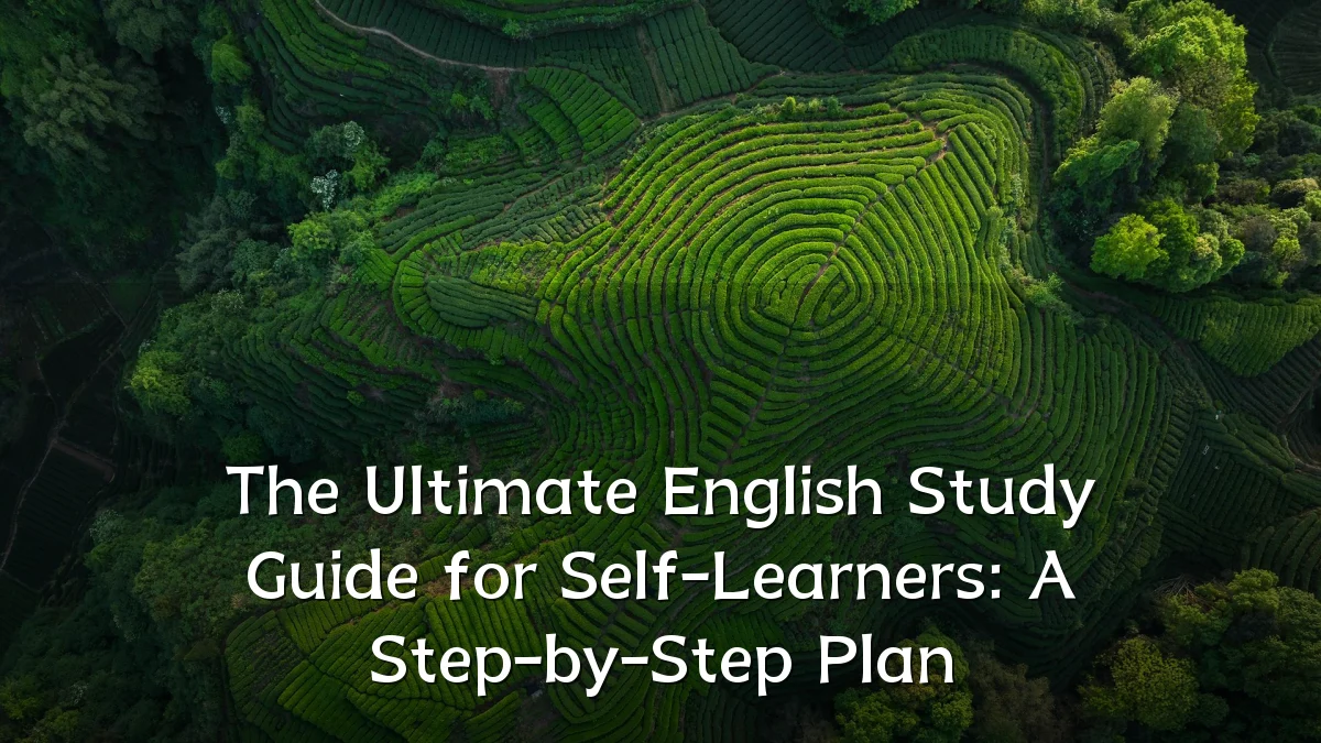 The Ultimate English Study Guide for Self-Learners: A Step-by-Step Plan
