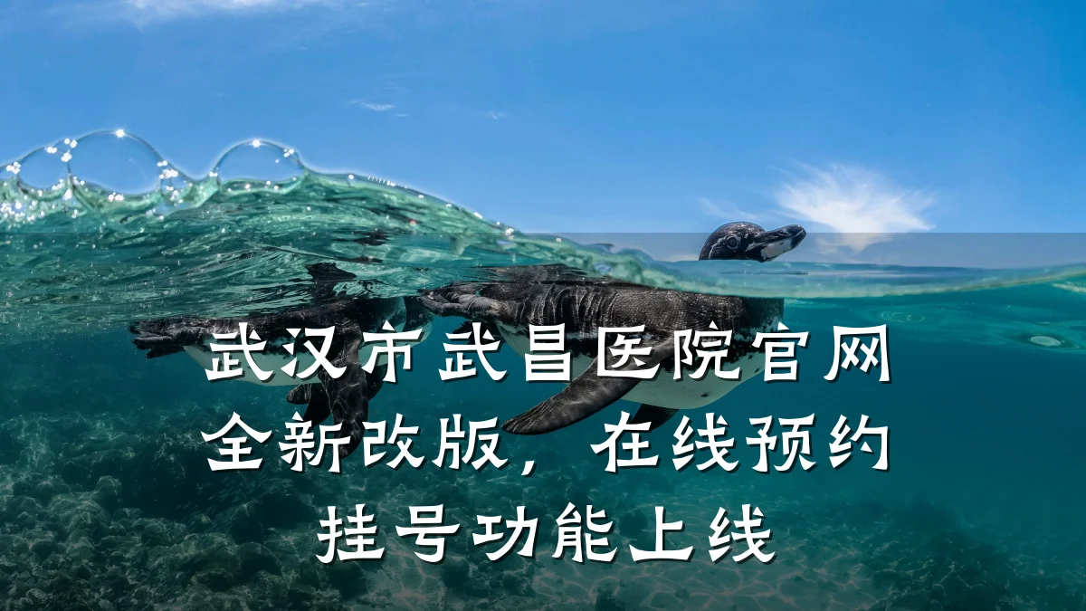 武汉市武昌医院官网全新改版，在线预约挂号功能上线